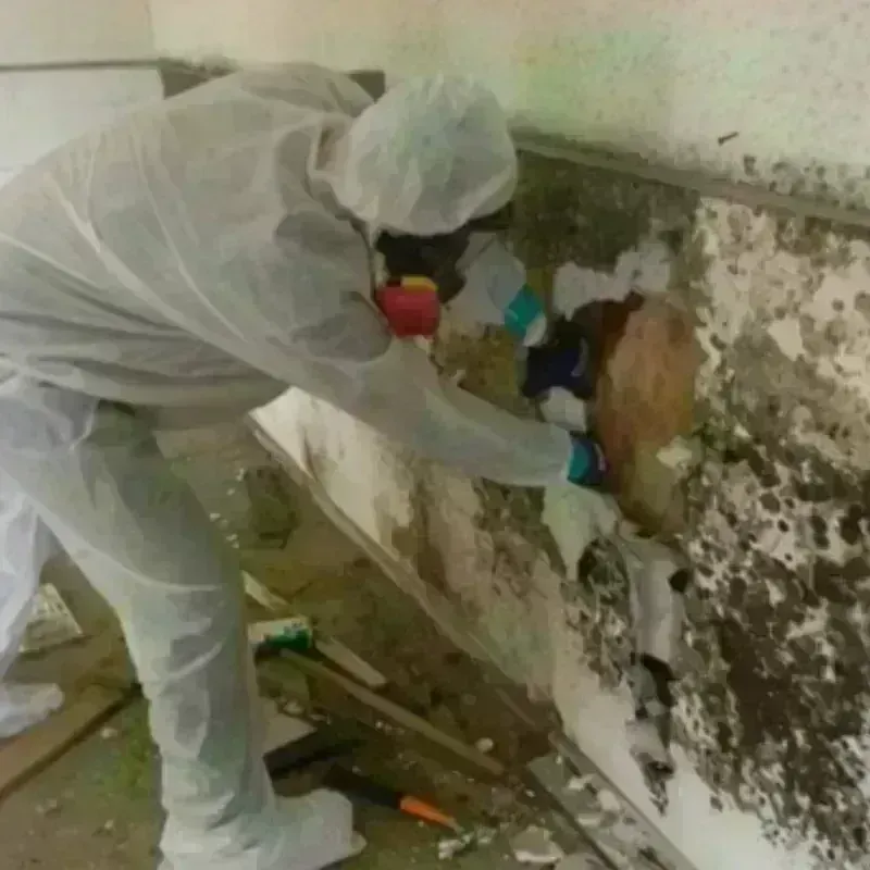 Mold Remediation and Removal in Lackawanna, NY